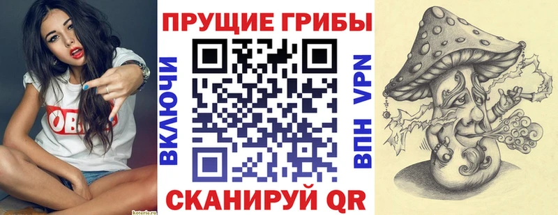 купить наркоту  Дмитриев  Псилоцибиновые грибы Psilocybe 